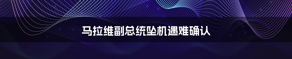 马拉维副总统坠机遇难确认
