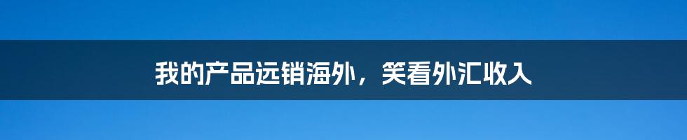 我的产品远销海外,笑看外汇收入