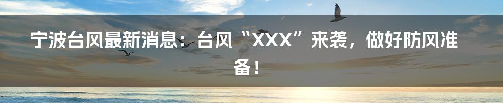 宁波台风最新消息:台风“XXX”来袭,做好防风准备!