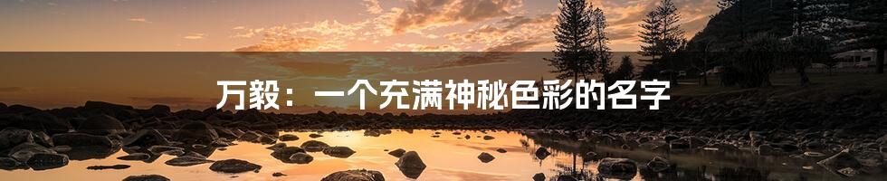 万毅:一个充满神秘色彩的名字
