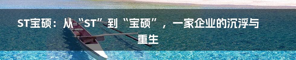 ST宝硕:从“ST”到“宝硕”,一家企业的沉浮与重生