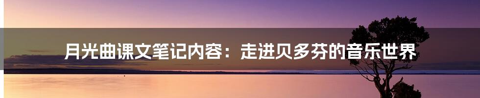 月光曲课文笔记内容:走进贝多芬的音乐世界