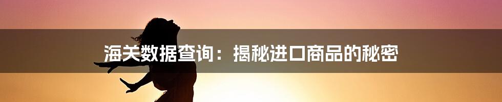 海关数据查询:揭秘进口商品的秘密