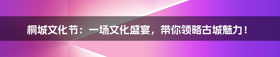 桐城文化节:一场文化盛宴,带你领略古城魅力!
