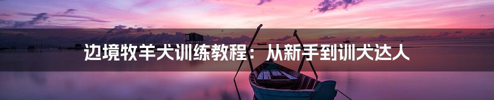 边境牧羊犬训练教程:从新手到训犬达人