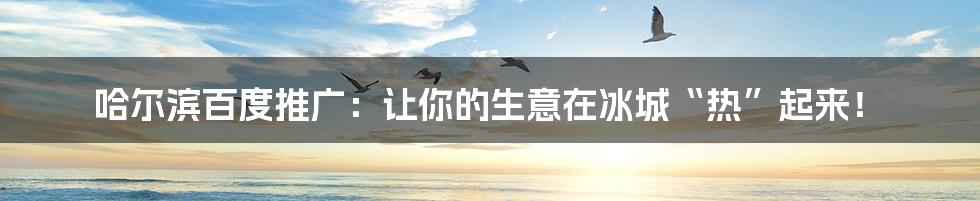 哈尔滨百度推广:让你的生意在冰城“热”起来!