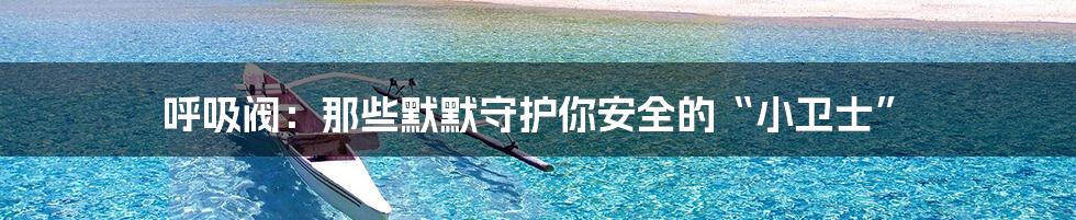 呼吸阀:那些默默守护你安全的“小卫士”