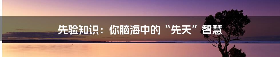 先验知识:你脑海中的“先天”智慧