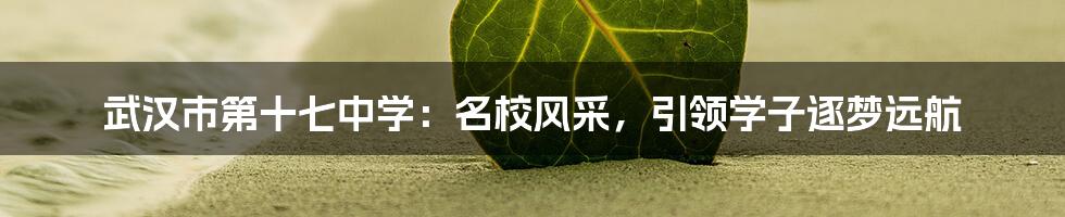 武汉市第十七中学:名校风采,引领学子逐梦远航