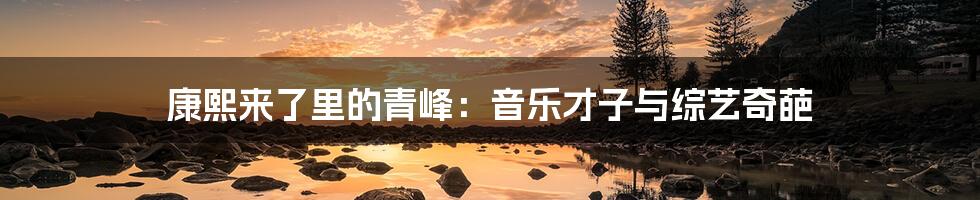 康熙来了里的青峰:音乐才子与综艺奇葩