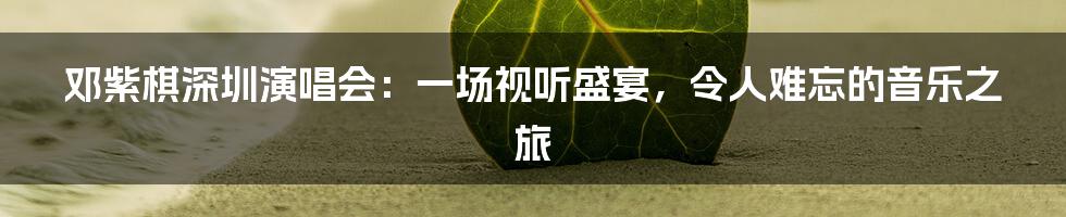 邓紫棋深圳演唱会:一场视听盛宴,令人难忘的音乐之旅