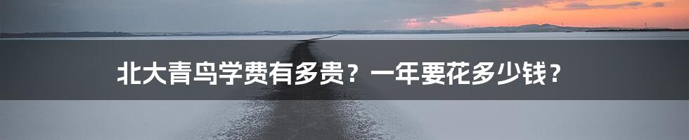 北大青鸟学费有多贵?一年要花多少钱?