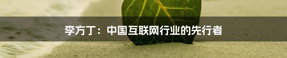 李方丁:中国互联网行业的先行者