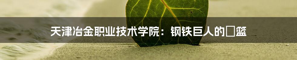 天津冶金职业技术学院:钢铁巨人的揺篮