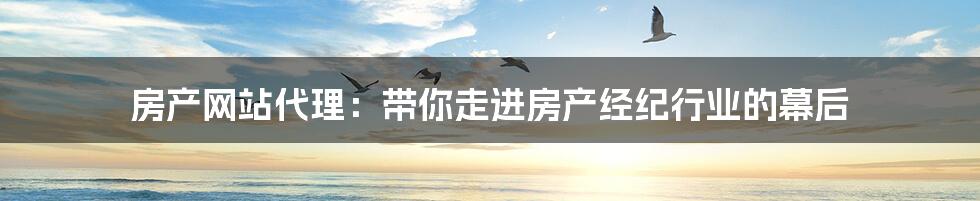 房产网站代理:带你走进房产经纪行业的幕后