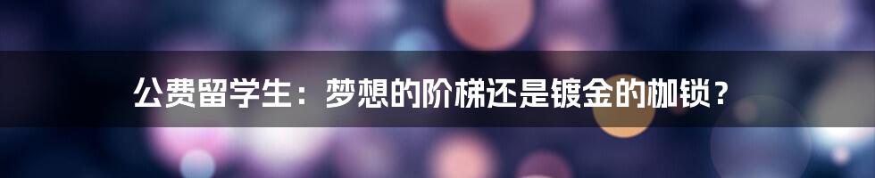公费留学生：梦想的阶梯还是镀金的枷锁？