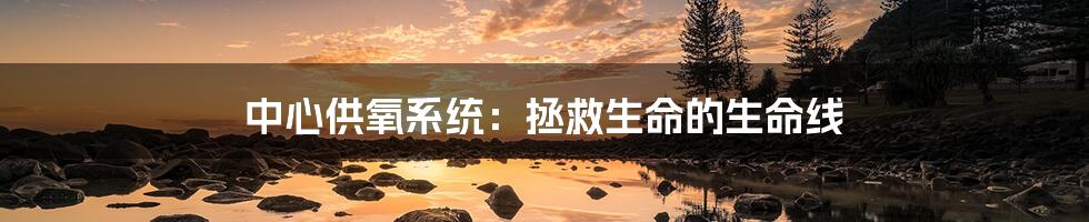 中心供氧系统:拯救生命的生命线