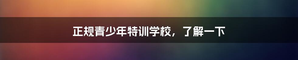 正规青少年特训学校,了解一下
