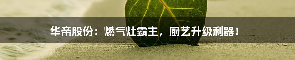 华帝股份:燃气灶霸主,厨艺升级利器!