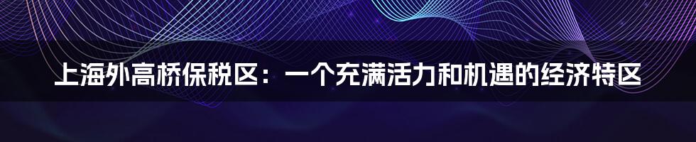 上海外高桥保税区:一个充满活力和机遇的经济特区