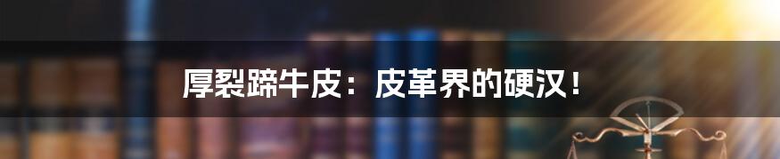 厚裂蹄牛皮：皮革界的硬汉！