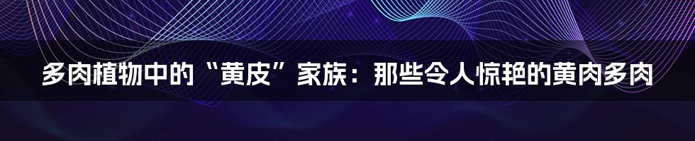 多肉植物中的“黄皮”家族:那些令人惊艳的黄肉多肉