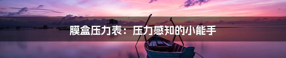 膜盒压力表:压力感知的小能手