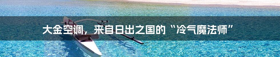 大金空调,来自日出之国的“冷气魔法师”