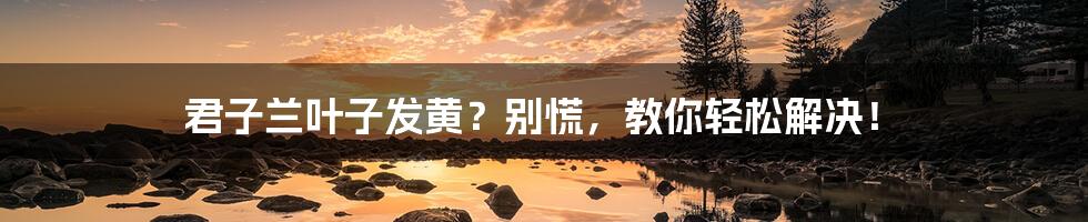 君子兰叶子发黄？别慌，教你轻松解决！