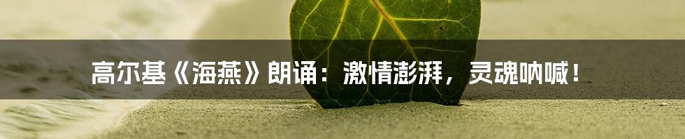 高尔基《海燕》朗诵:激情澎湃,灵魂呐喊!