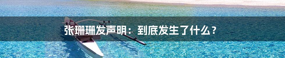 张珊珊发声明:到底发生了什么?