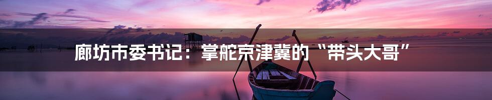 廊坊市委书记:掌舵京津冀的“带头大哥”