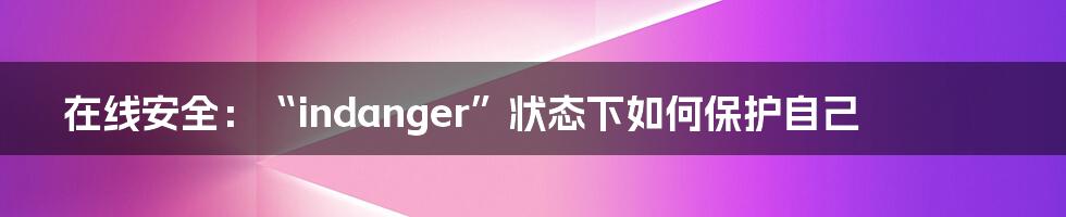 在线安全:“indanger”状态下如何保护自己