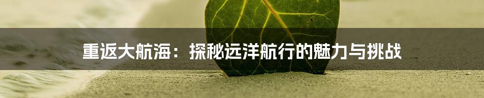 重返大航海:探秘远洋航行的魅力与挑战