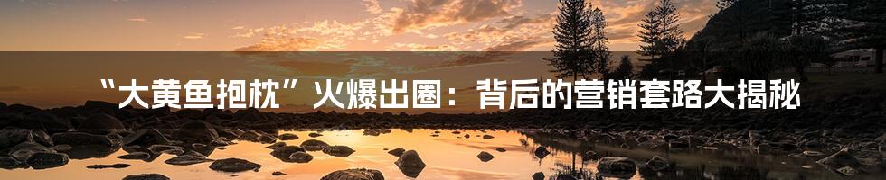 “大黄鱼抱枕”火爆出圈:背后的营销套路大揭秘