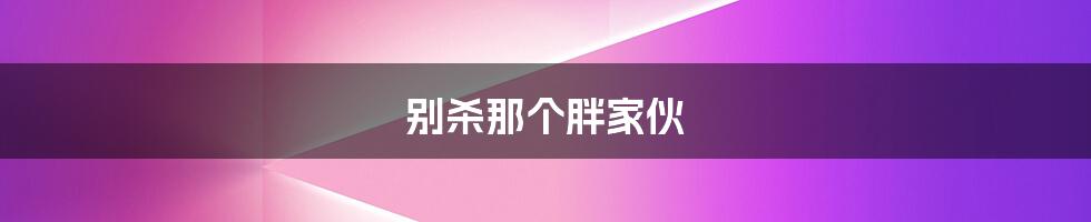 别杀那个胖家伙