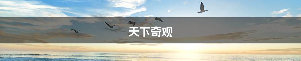 天下奇观