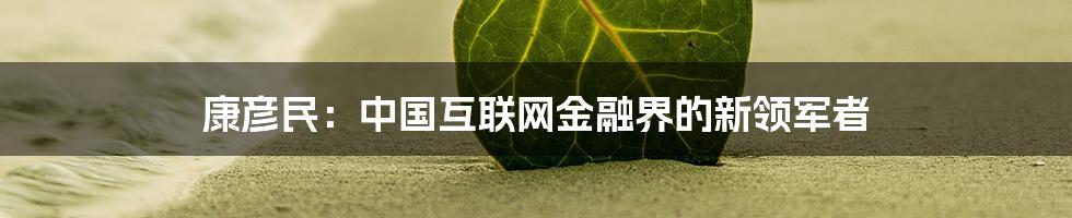 康彦民：中国互联网金融界的新领军者
