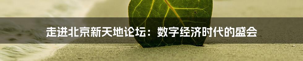 走进北京新天地论坛:数字经济时代的盛会