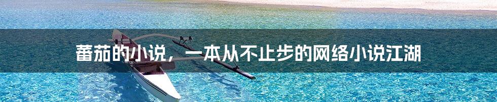 蕃茄的小说,一本从不止步的网络小说江湖