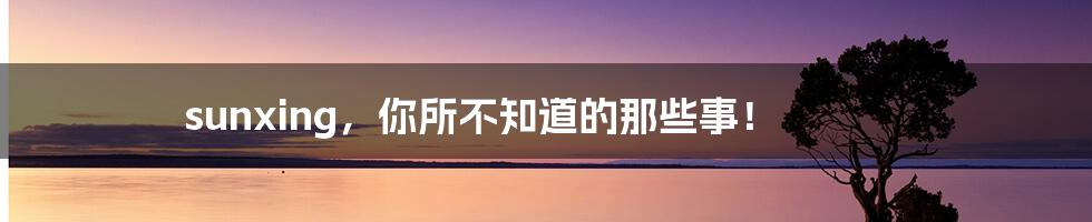 sunxing,你所不知道的那些事!