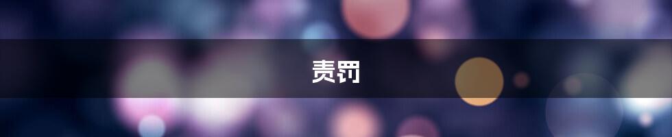 责罚