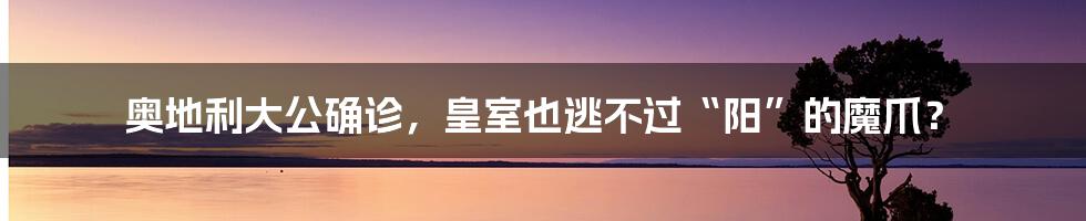 奥地利大公确诊,皇室也逃不过“阳”的魔爪?