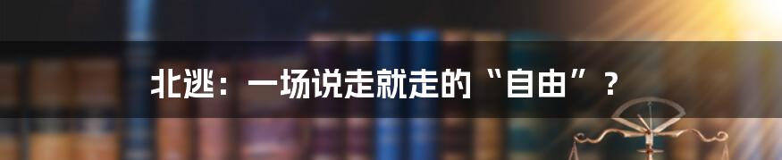 北逃:一场说走就走的“自由”?