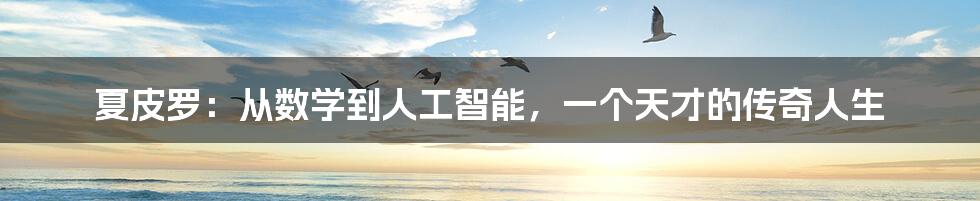 夏皮罗:从数学到人工智能,一个天才的传奇人生