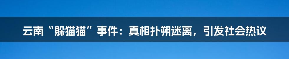 云南“躲猫猫”事件:真相扑朔迷离,引发社会热议