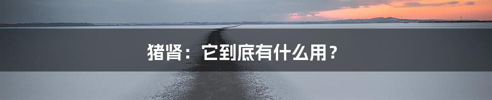 猪肾:它到底有什么用?