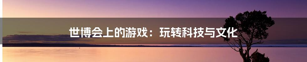 世博会上的游戏:玩转科技与文化