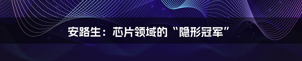 安路生:芯片领域的“隐形冠军”