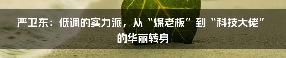 严卫东：低调的实力派，从“煤老板”到“科技大佬”的华丽转身